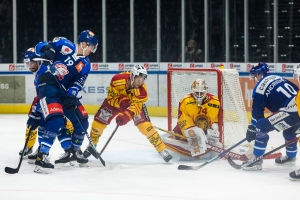 Die ausw&auml;rtsstarken Tigers wetzen ihre Krallen im Hallenstadion