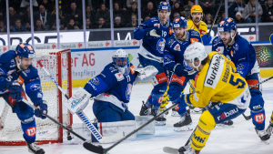 Die Lions gewinnen ihr letztes Heimspiel vor den Playoffs