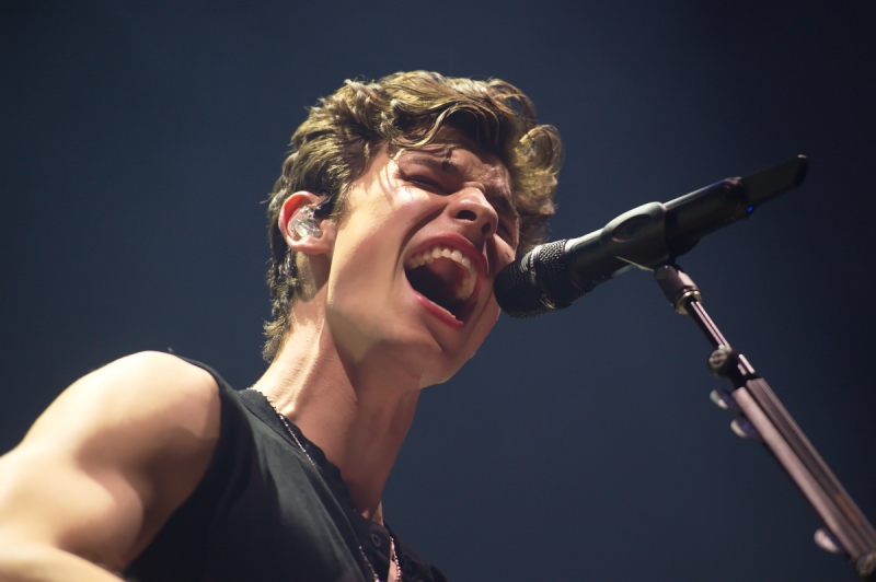 Shawn Mendes - The Tour