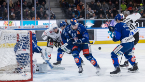 Endlich ein Sieg! Darauf mussten die ZSC-Fans lange warten