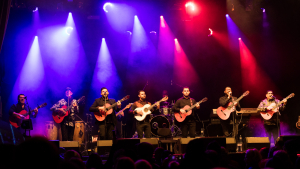 Flamenco w&auml;rmt von Innen