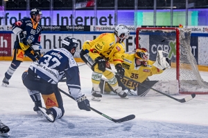 EV Zug vs. SC Bern