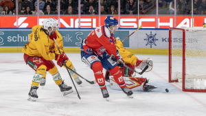 Tigers f&uuml;gen passiven Lions empfindliche Niederlage zu