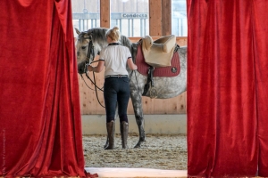 Art n&rsquo; Horse &ndash; Probe f&uuml;r die zweite Surprise Soir&eacute;e