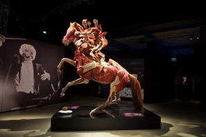 Gunter von Hagens K&ouml;rperwelten