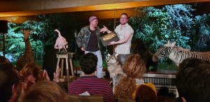 Comedy im Zoo