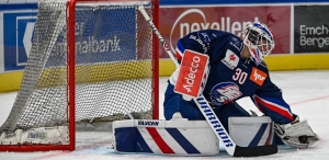 ZSC Lions vs. HC&nbsp;Gen&egrave;ve-Servette - Spiel 15