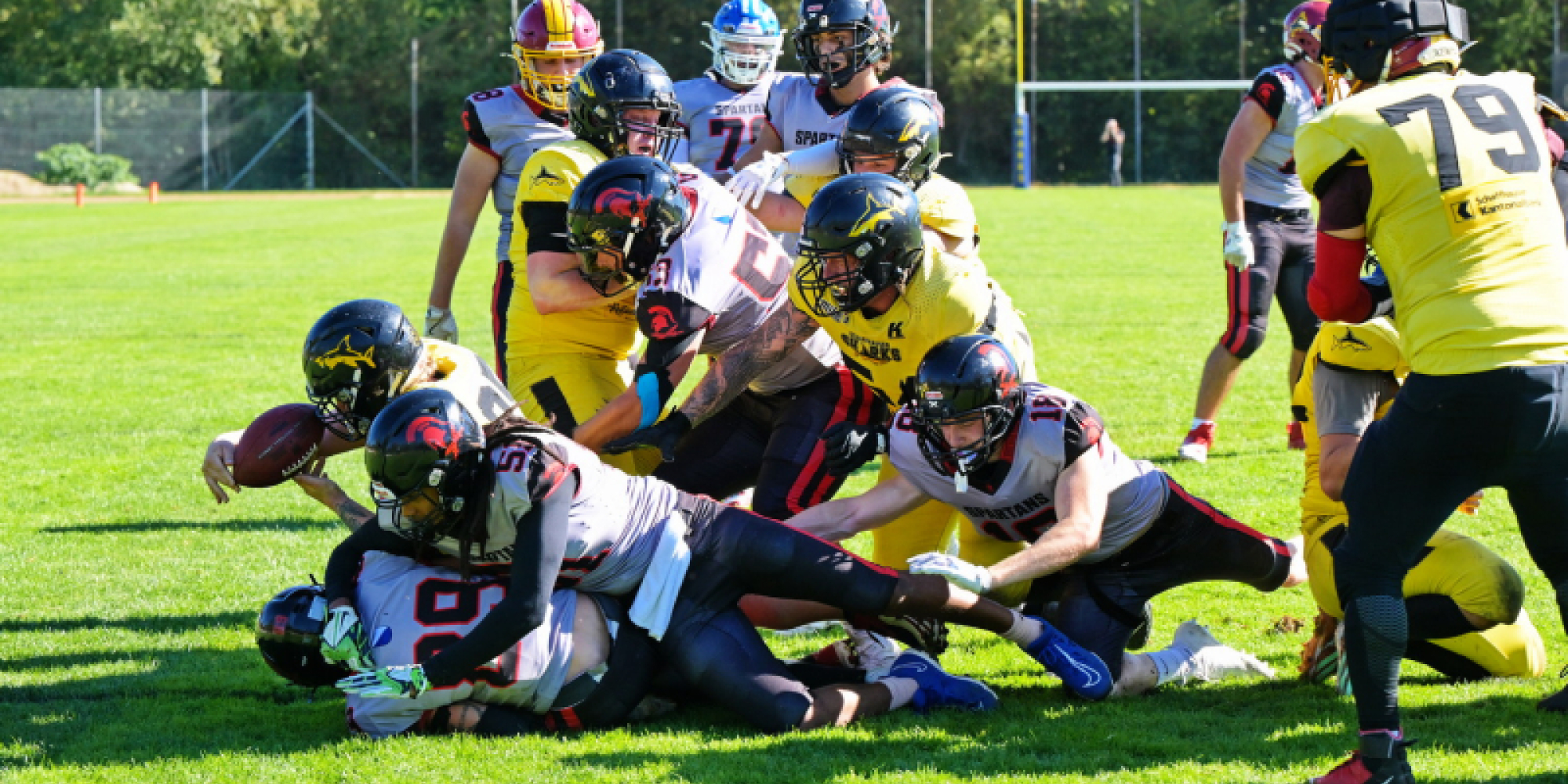 Die Sharks beenden den Höhenflug der Spartans